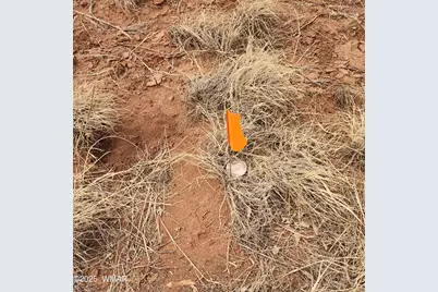 5506 Glasgow Drive, Snowflake, AZ 85937 - Photo 11