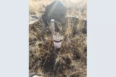 1786 Doughty Place, Show Low, AZ 85901 - Photo 3