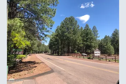 4660 Bucksprings Road, Pinetop, AZ 85935 - Photo 13