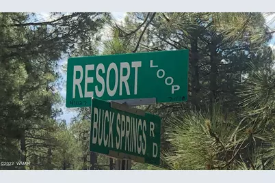 4660 Bucksprings Road, Pinetop, AZ 85935 - Photo 9