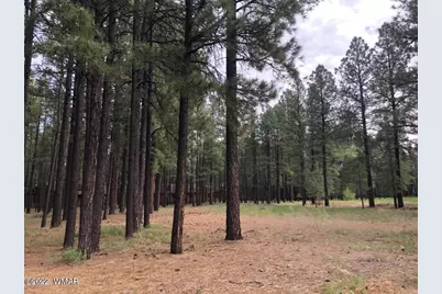 4660 Bucksprings Road, Pinetop, AZ 85935 - Photo 5