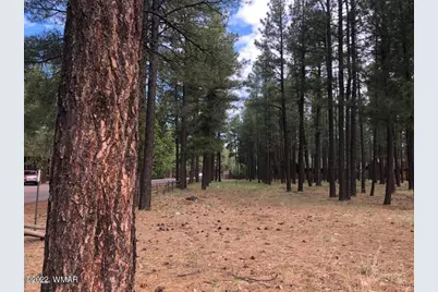 4660 Bucksprings Road, Pinetop, AZ 85935 - Photo 7