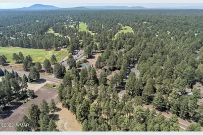 4660 Bucksprings Road, Pinetop, AZ 85935 - Photo 3