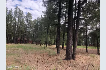 4660 Bucksprings Road, Pinetop, AZ 85935 - Photo 15