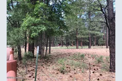 4660 Bucksprings Road, Pinetop, AZ 85935 - Photo 21