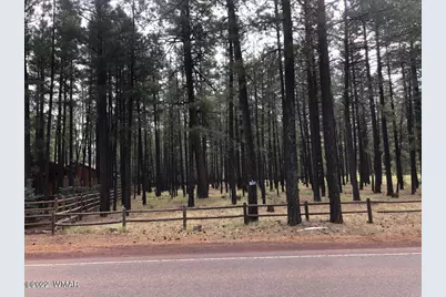 4660 Bucksprings Road, Pinetop, AZ 85935 - Photo 17