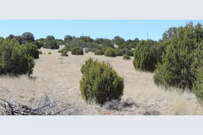 80 County Road 8620, Concho, AZ 85924 - Photo 9