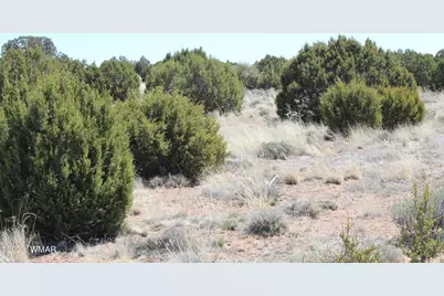 80 County Road 8620, Concho, AZ 85924 - Photo 17