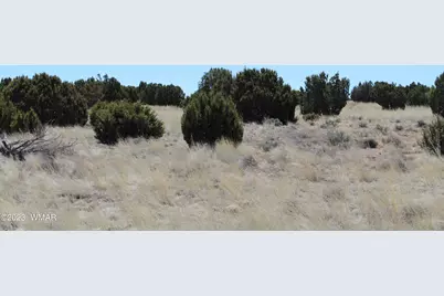 80 County Road 8620, Concho, AZ 85924 - Photo 7