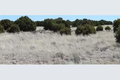 80 County Road 8620, Concho, AZ 85924 - Photo 15