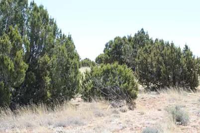 80 County Road 8620, Concho, AZ 85924 - Photo 11