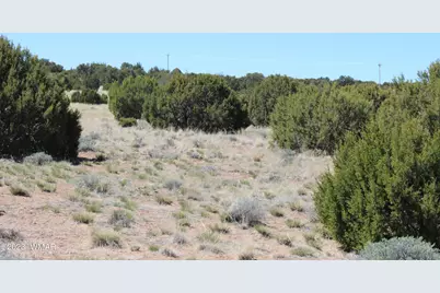 80 County Road 8620, Concho, AZ 85924 - Photo 21