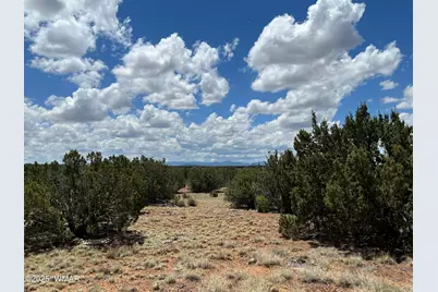 Tbd County Road 8309, Concho, AZ 85924 - Photo 3