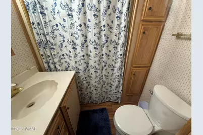 1938 Lynx Drive, Unit 46 #46, Show Low, AZ 85901 - Photo 17