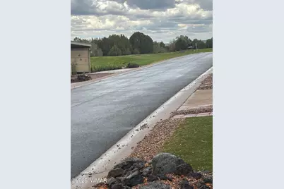 1938 Lynx Drive, Unit 46 #46, Show Low, AZ 85901 - Photo 7