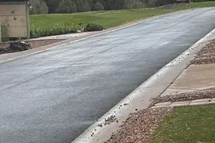 1938 Lynx Dr, Show Low, AZ 85901 - Photo 7