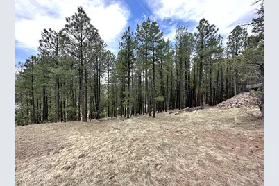 29 &amp; 27 N 2058, Alpine, AZ 85920 - Photo 29