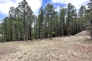 29 &amp 27 N 2058, Alpine, AZ 85920 - Photo 29