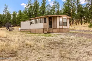 4 County Road 2110, Alpine, AZ 85920 - Photo 3