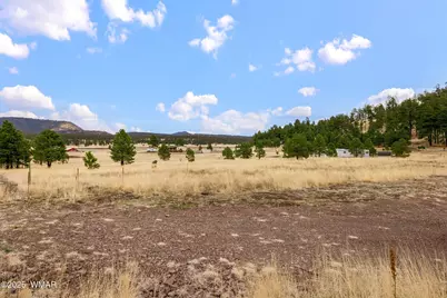 4 County Road 2110, Alpine, AZ 85920 - Photo 17