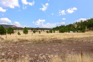 4 County Road 2110, Alpine, AZ 85920 - Photo 17