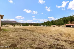 4 County Road 2110, Alpine, AZ 85920 - Photo 19