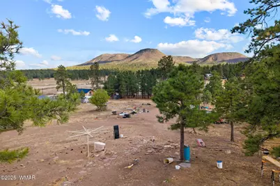 Tbd County Road N2144, Alpine, AZ 85920 - Photo 5