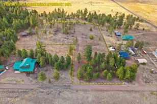 Tbd County Road N2144, Alpine, AZ 85920 - Photo 1