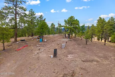 Tbd County Road N2144, Alpine, AZ 85920 - Photo 3