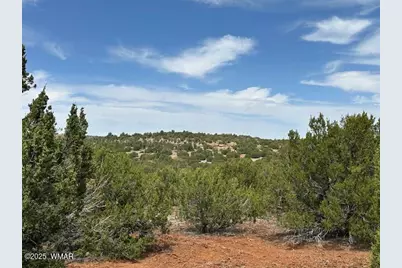40 County Road 3048, Concho, AZ 85924 - Photo 3