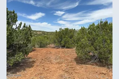 44 County Road 3048, Concho, AZ 85924 - Photo 7