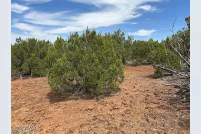46 County Road 3048, Concho, AZ 85924 - Photo 7