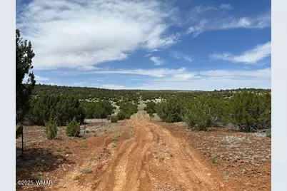 46 County Road 3048, Concho, AZ 85924 - Photo 3