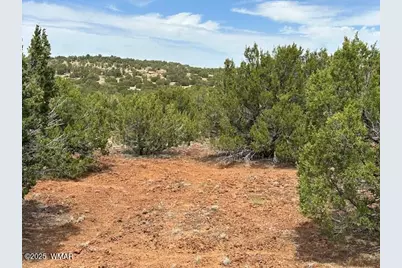 46 County Road 3048, Concho, AZ 85924 - Photo 5