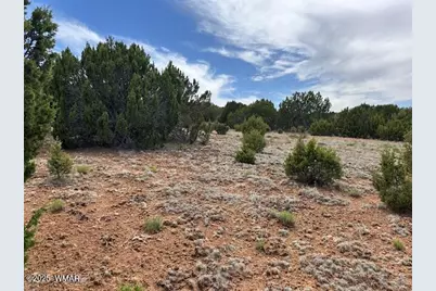 46 County Road 3048, Concho, AZ 85924 - Photo 11