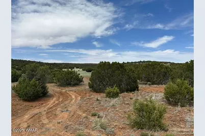 46 County Road 3048, Concho, AZ 85924 - Photo 9