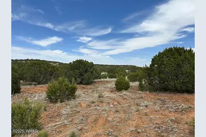 50 County Road 3048, Concho, AZ 85924 - Photo 1