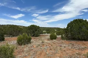 50 County Road 3048, Concho, AZ 85924 - Photo 1
