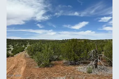 50 County Road 3048, Concho, AZ 85924 - Photo 9