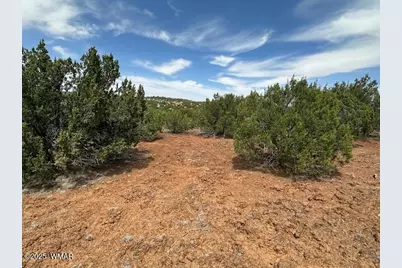 50 County Road 3048, Concho, AZ 85924 - Photo 5