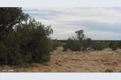 Sec 19 T15N, R16E, Heber, AZ 85928 - Photo 1