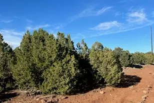 8754 Clark Rd, Show Low, AZ 85901 - Photo 1