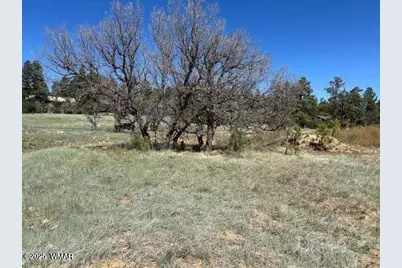 1301 Lakeside Trail, Show Low, AZ 85901 - Photo 3