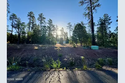 Tbd White Mtn Blvd 212-09-108Q, Lakeside, AZ 85929 - Photo 5