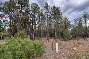 Tbd White Mtn Blvd 212-09-108Q, Lakeside, AZ 85929 - Photo 1