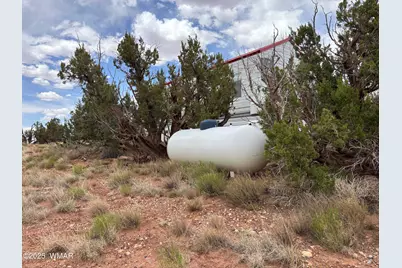5233 Concho Ocho Road, Snowflake, AZ 85937 - Photo 17