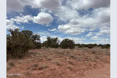 5233 Concho Ocho Road, Snowflake, AZ 85937 - Photo 13