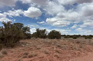 5233 Concho Ocho Rd, Snowflake, AZ 85937 - Photo 13