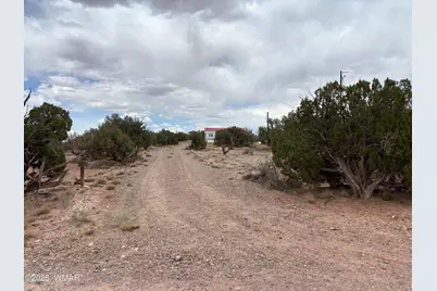 5233 Concho Ocho Road, Snowflake, AZ 85937 - Photo 9