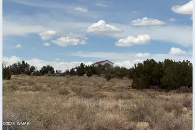 5233 Concho Ocho Road, Snowflake, AZ 85937 - Photo 15